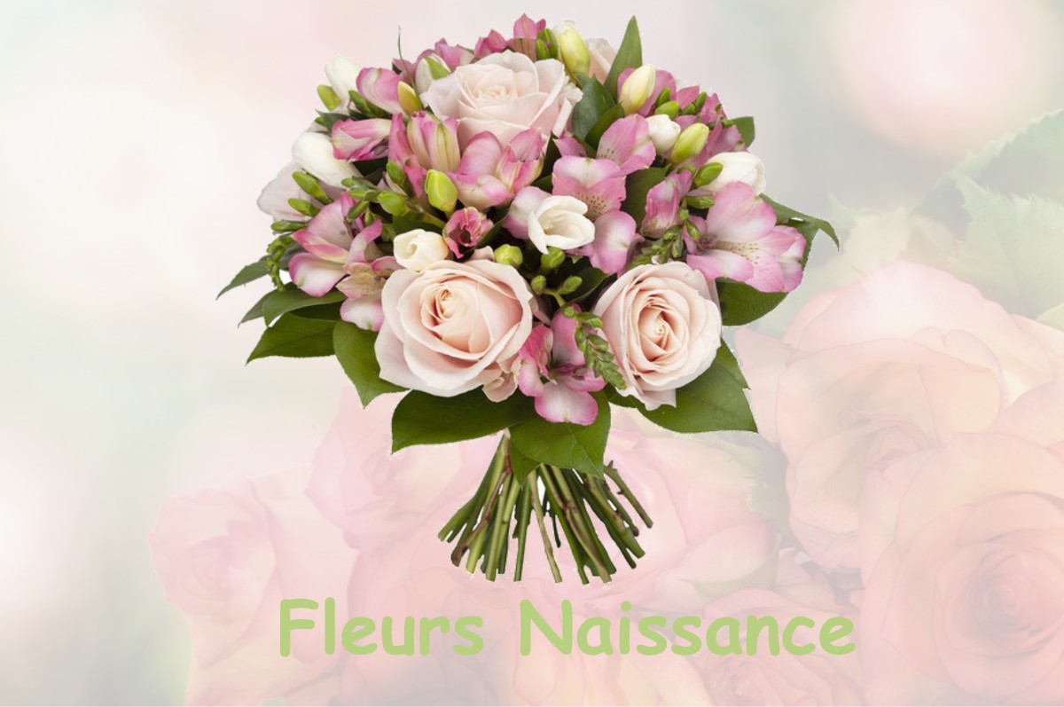 fleurs naissance ROCHE-CHARLES-LA-MAYRAND